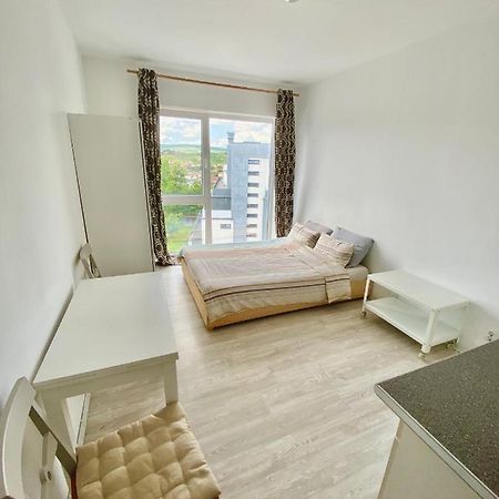 Cozy Studio Near The Center Of Cluj Εξωτερικό φωτογραφία