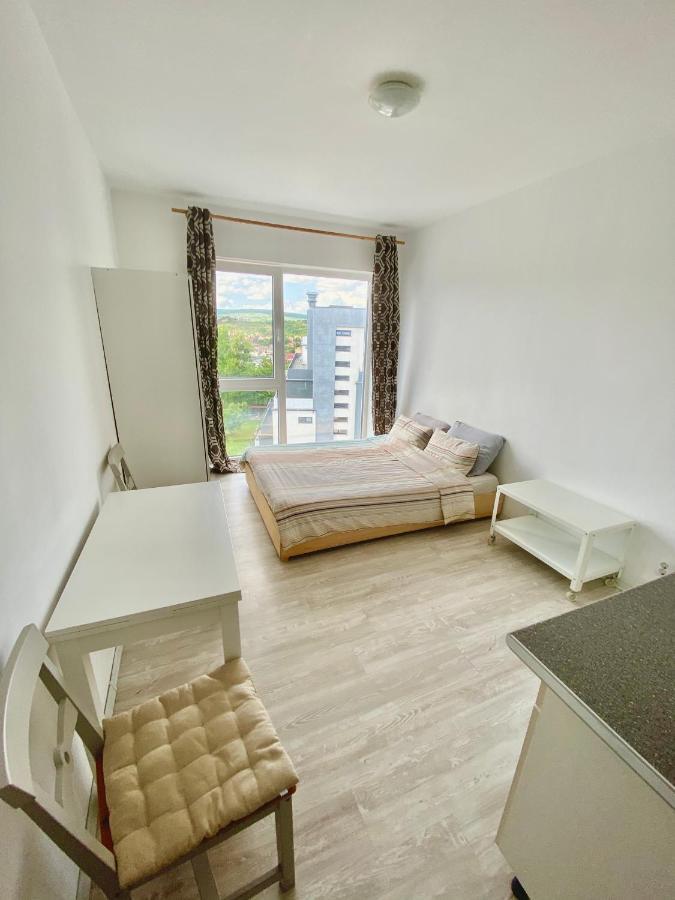 Cozy Studio Near The Center Of Cluj Εξωτερικό φωτογραφία